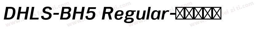 DHLS-BH5 Regular字体转换